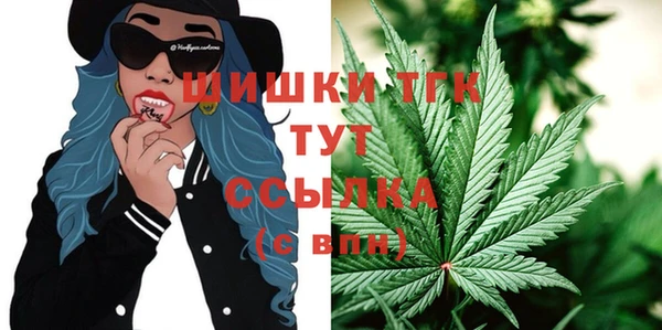 ПСИЛОЦИБИНОВЫЕ ГРИБЫ Костерёво