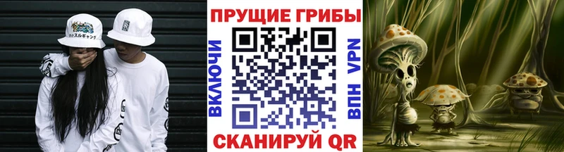 omg маркетплейс наркошоп Котовск Псилоцибиновые грибы мицелий