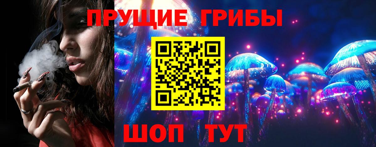Галлюциногенные грибы прущие грибы  магазин продажи   Псилоцибиновые грибы Magic Shrooms  Котовск  Вход с VPN 